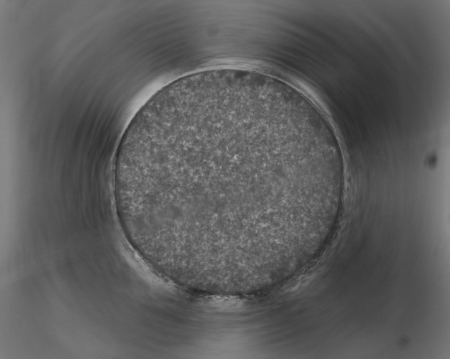 X0000114690907200912021042