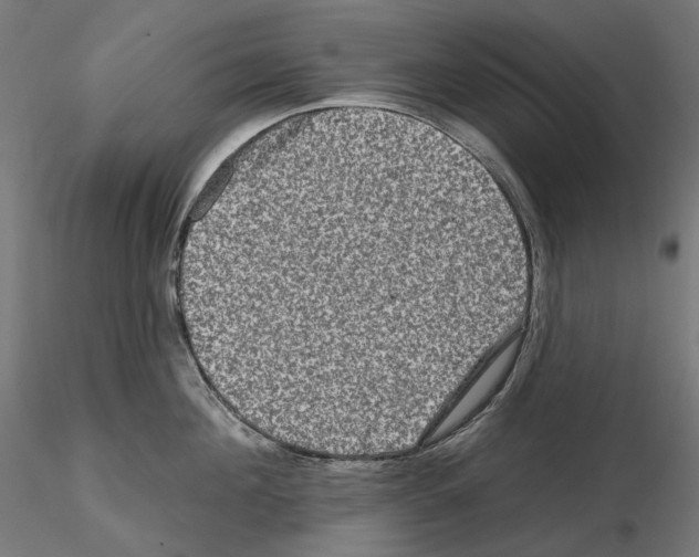 X0000114690908200912021042