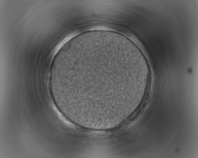X0000114690909200912021042