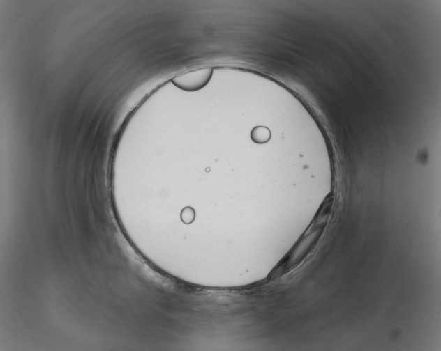 X0000114690910200912021042