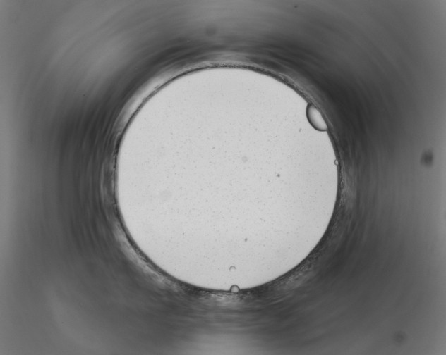X0000114690911200912021042