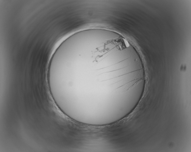 X0000114690912200912021042