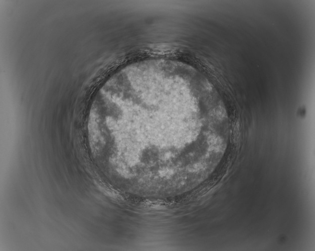 X0000114690913200912021041