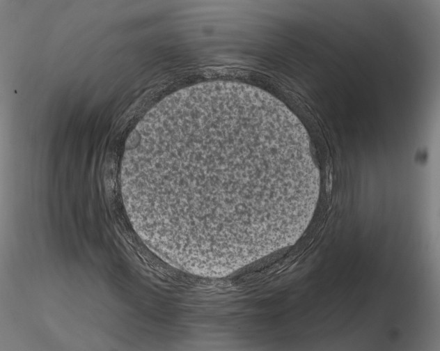 X0000114690915200912021041