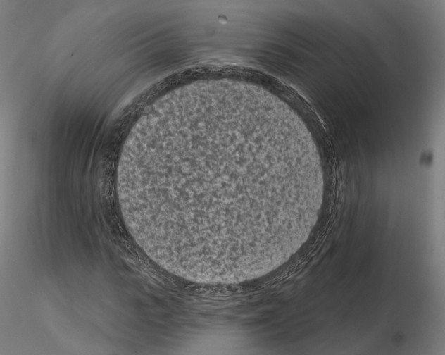 X0000114690919200912021041