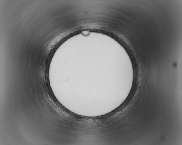 X0000114690922200912021041