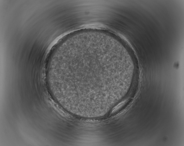 X0000114690923200912021041