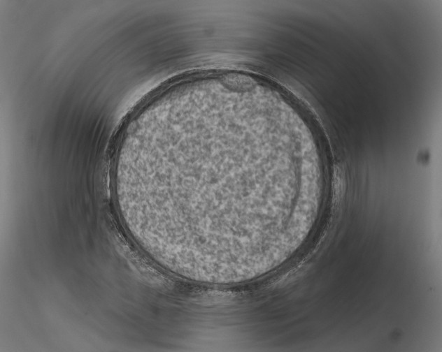 X0000114690925200912021041