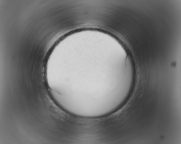X0000114690926200912021041
