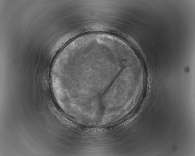 X0000114690930200912021041