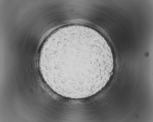 X0000114690931200912021041