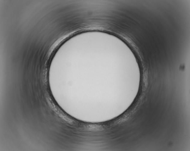X0000114690933200912021041