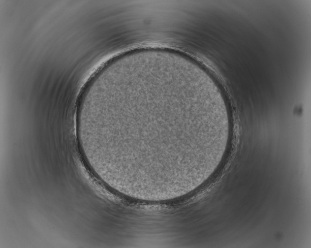 X0000114690934200912021041
