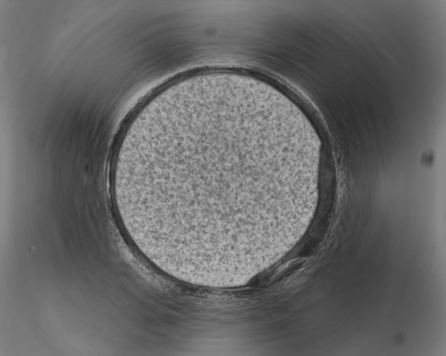 X0000114690935200912021041
