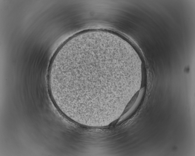 X0000114690943200912021042