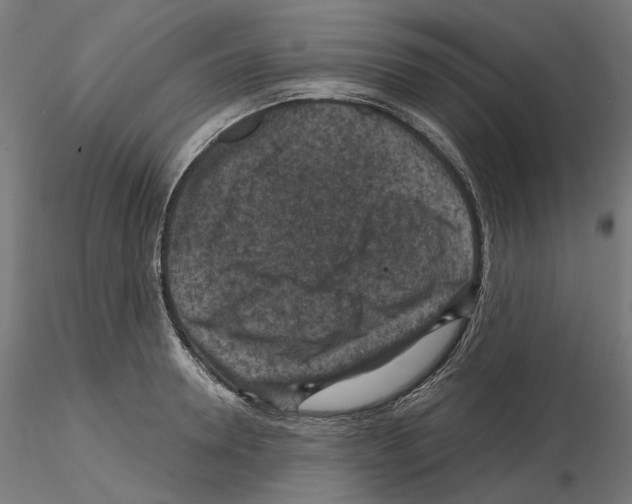 X0000114690946200912021042