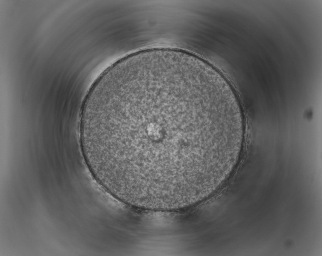 X0000114690950200912021042