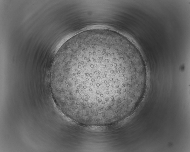 X0000114690953200912021042