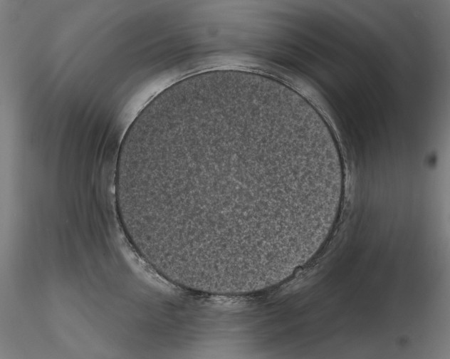 X0000114690954200912021042