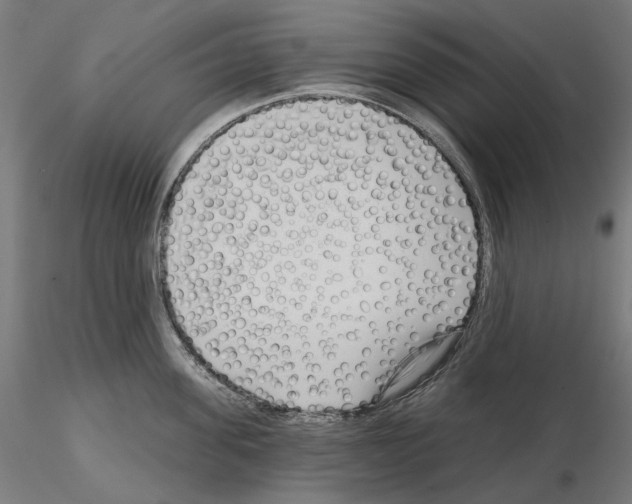 X0000114690955200912021042