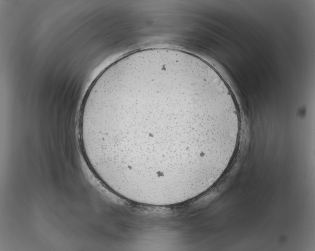 X0000114690957200912021042