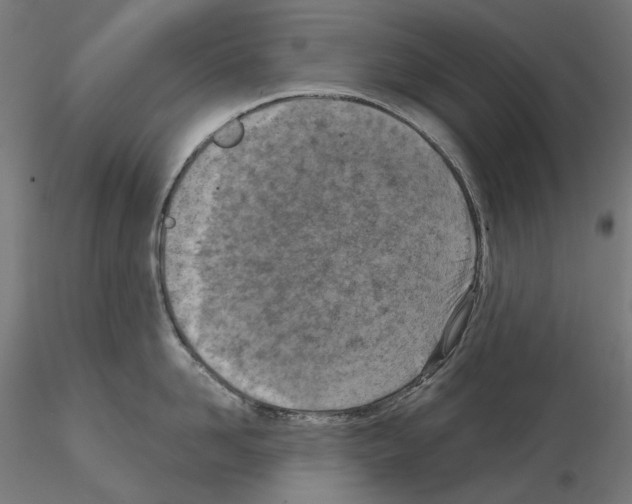X0000114690958200912021042