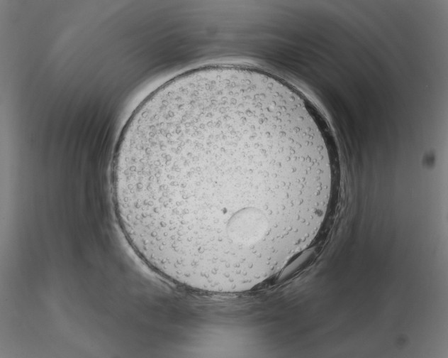 X0000114690959200912021042