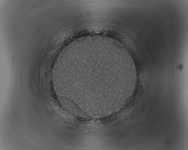 X0000114690961200912021041