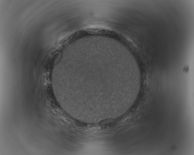 X0000114690965200912021041