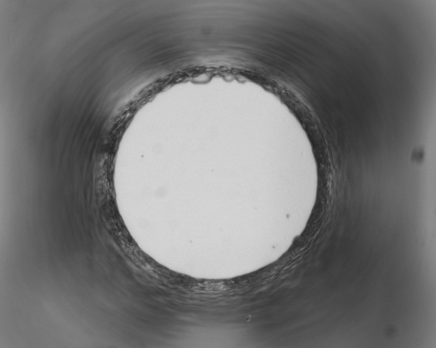X0000114690968200912021041