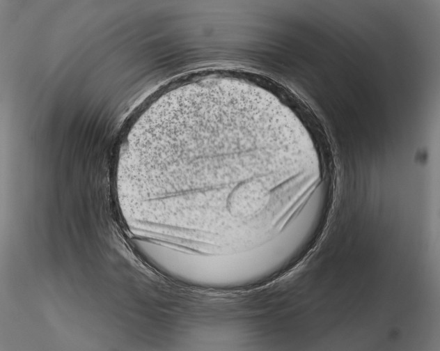 X0000114690969200912021041