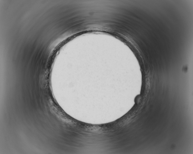 X0000114690971200912021041