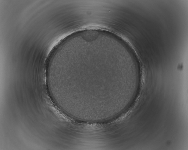 X0000114690973200912021041