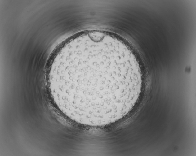 X0000114690974200912021041