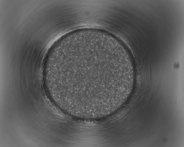 X0000114690975200912021041