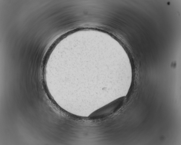 X0000114690976200912021041