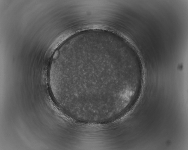 X0000114690977200912021041