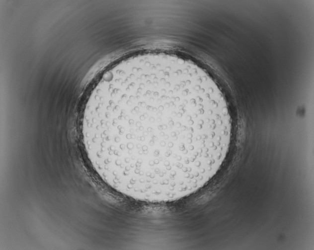 X0000114690978200912021041