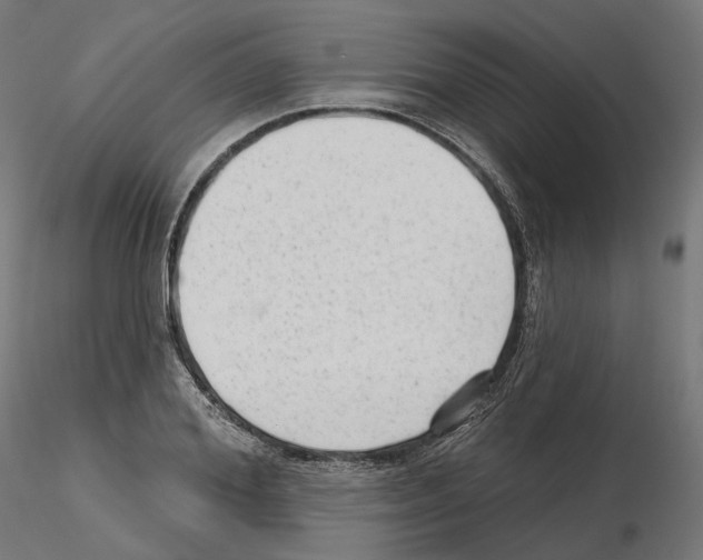 X0000114690980200912021041