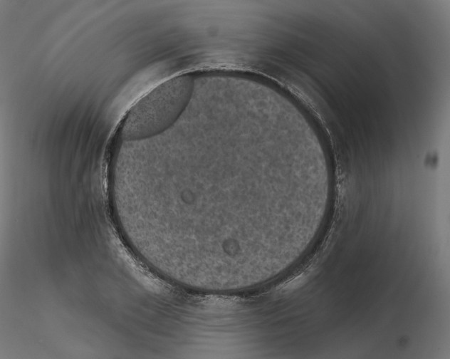 X0000114690981200912021041