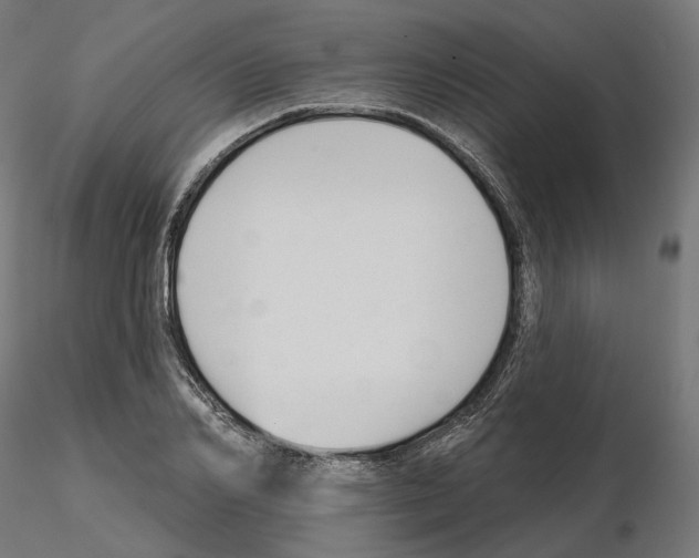 X0000114690982200912021041