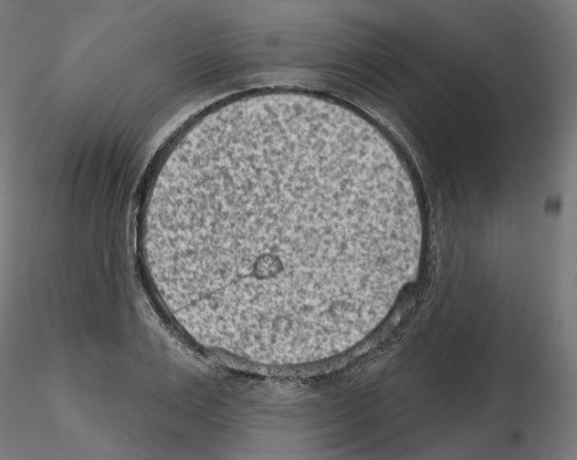 X0000114690983200912021041