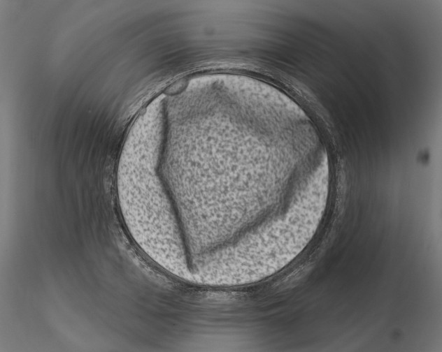X0000114690985200912021041