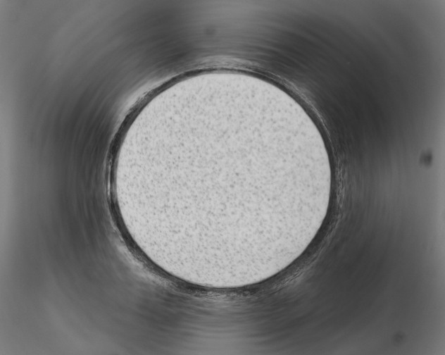 X0000114690987200912021041