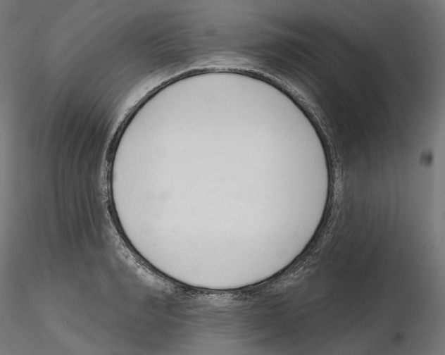 X0000114690990200912021041