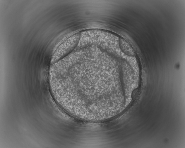 X0000114690993200912021040