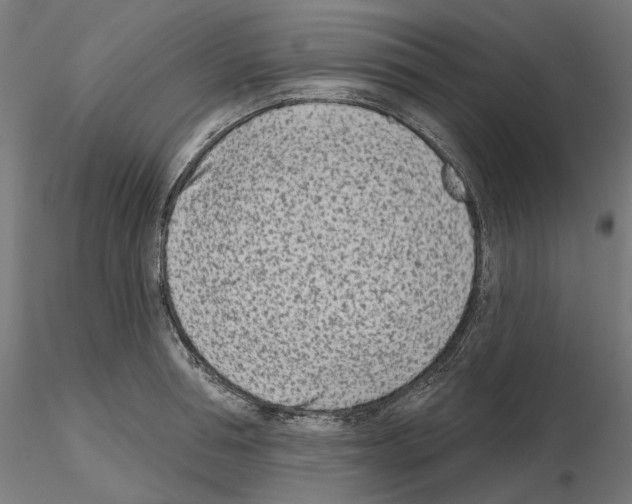 X0000114690994200912021040