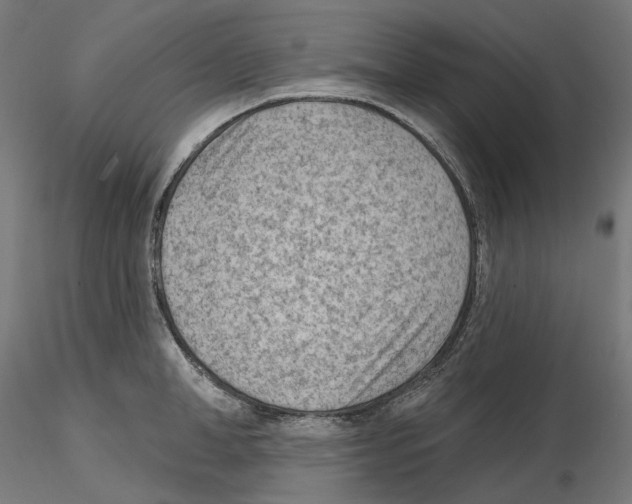X0000114690998200912021040