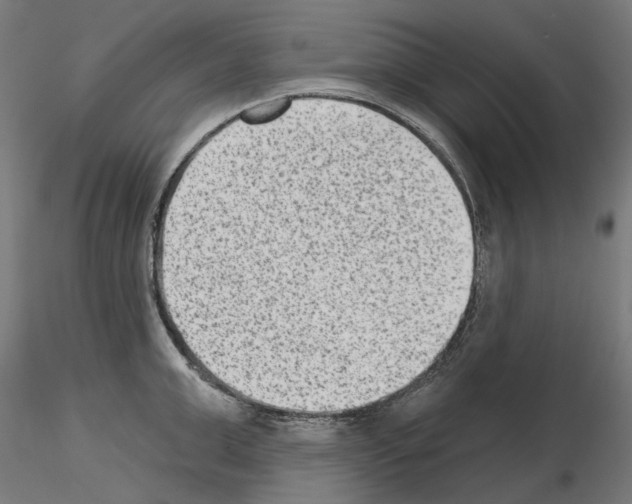 X0000114690999200912021040