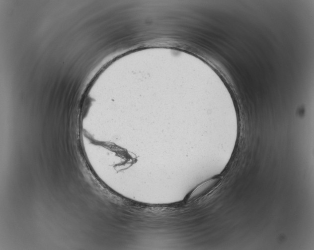 X0000114691000200912021040